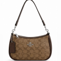 Coach Teri Shoulder Bag